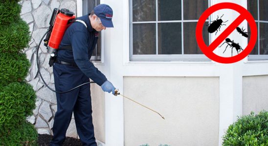 Lapseki Böcek ve Haşere İlaçlama böcek ilaçlama ve haşere kontrolü — ilaclama-tr.com